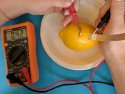 Электричество из лимона, апельсина, картофеля - как это возможно? 